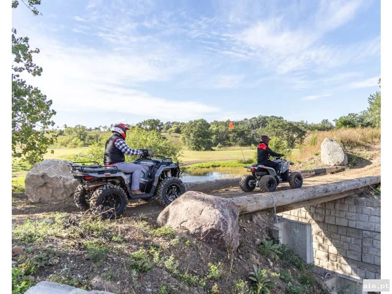 Foto suplementar de POLARIS PHOENIX 200 AVALANCHE GRAY