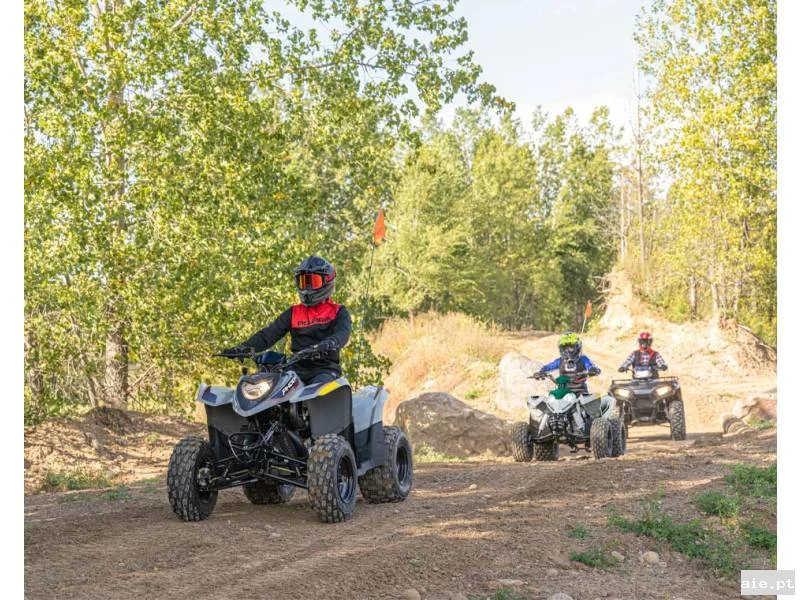 Foto suplementar de POLARIS PHOENIX 200 AVALANCHE GRAY