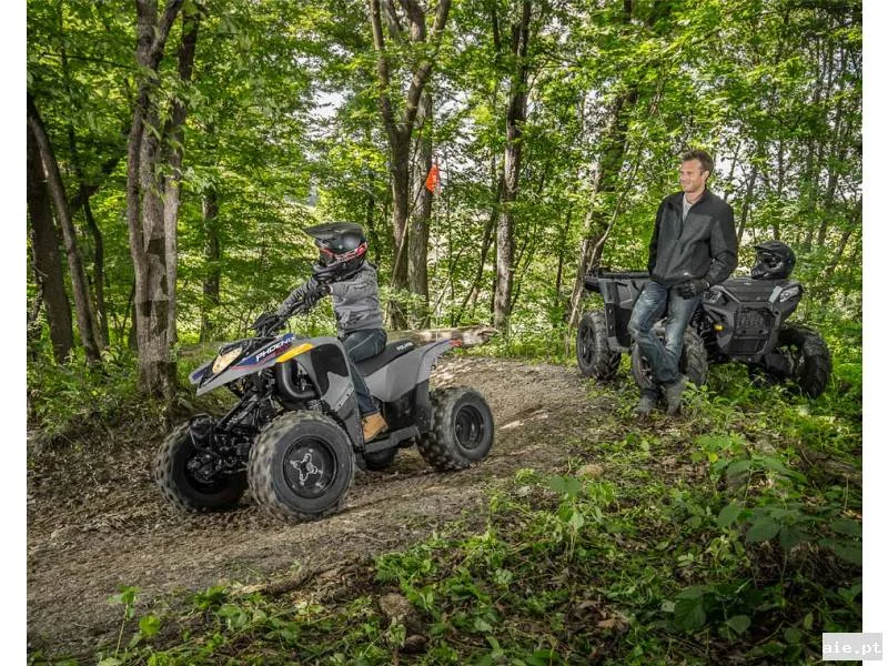 Foto suplementar de POLARIS PHOENIX 200 AVALANCHE GRAY