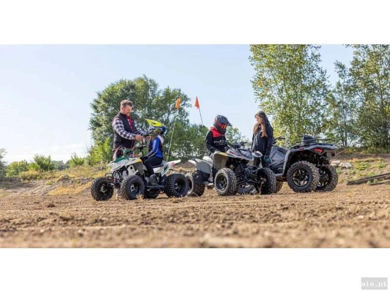 Foto suplementar de POLARIS PHOENIX 200 AVALANCHE GRAY