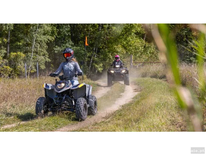 Foto suplementar de POLARIS PHOENIX 200 AVALANCHE GRAY